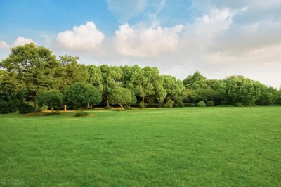 一轮复习：现代文阅读复习之小说情节结构、双线索与教材例说