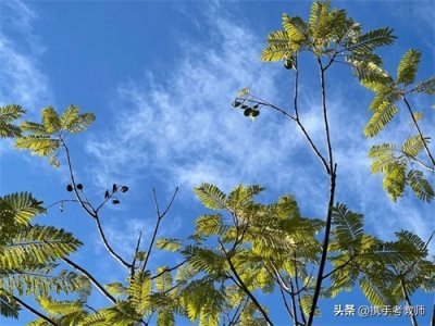 ​“戋戋”怎么读？