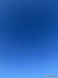 ​“蘸”怎么读？