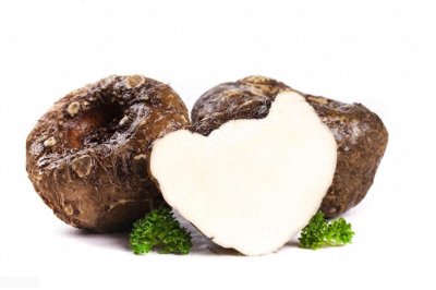 ​蒟蒻，你知道怎么读吗？