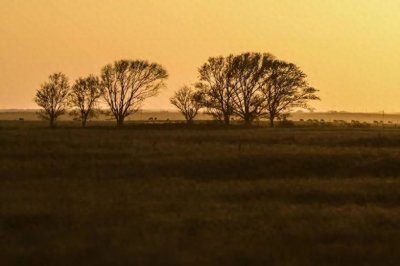 ​“伽罗皇后”的“伽”其实不读“jiā”，你知道怎么读吗？