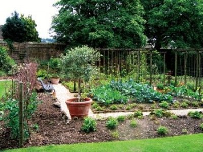 ​作文我的乐园400字 作文我的乐园400字左右免费