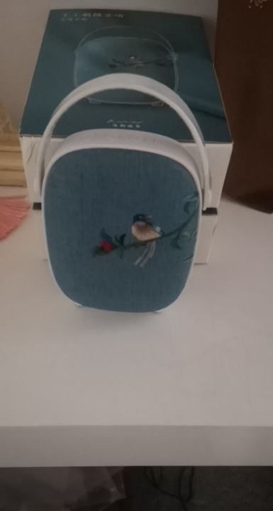 最有创意的生日礼物,最特别的生日礼物作文图4