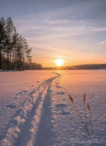 那一次我真尴尬作文500字(那一次我真尴尬作文400字)-第1张图片-