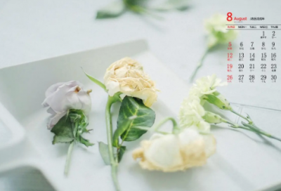 ​鸡蛋的沉浮实验作文