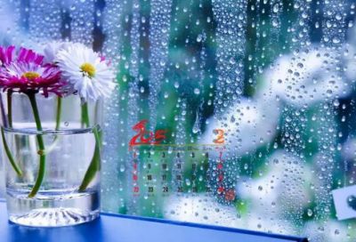 ​《爱的教育》读后感作文