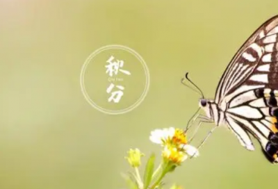 ​水浒传的读后感