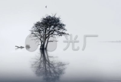 ​只有一个地球读后感
