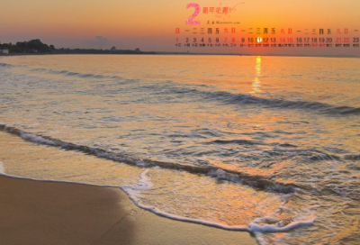 ​紫藤萝瀑布读后感