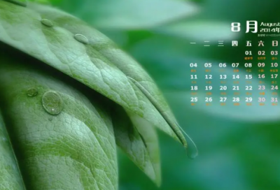 ​滴水穿石的启示读后感