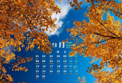 ​散步读后感