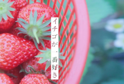 ​《山茶文具店》治愈读后感600字推荐