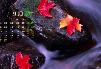 ​九日杜甫赏析翻译（九日醉吟译文翻译）