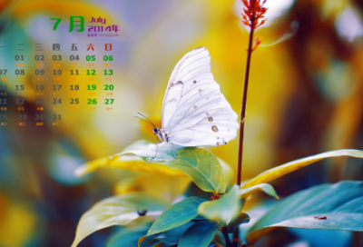 ​夜书所见的意思翻译（夜书所见全文翻译阅读）