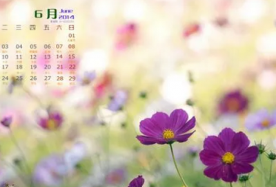 ​从军北征李益翻译（从军北征李益诗歌鉴赏）