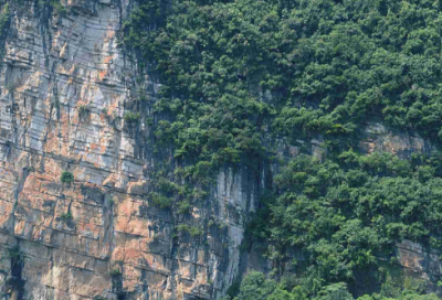 ​学雷锋美德少年寄语