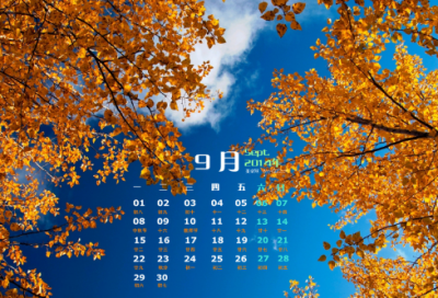 ​《狼王梦》读后感650字
