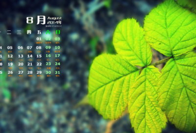 ​《平凡的世界》读后感750字2023(精选4篇)
