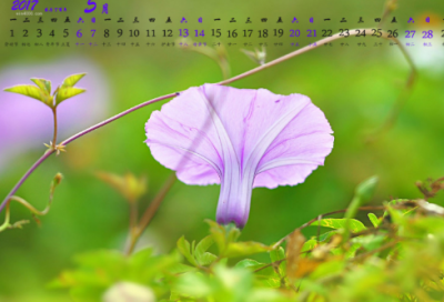 ​读后感优秀400字