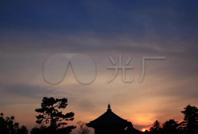 ​读后感400字五年级