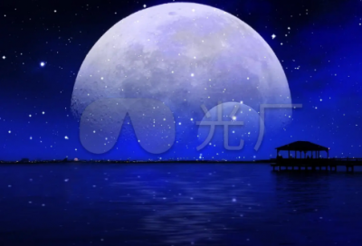 ​《海底两万里》读后感大全(精选3篇)