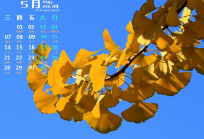​读《薛谭学讴》有感500字