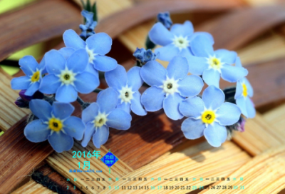 ​《鲁宾逊漂流记》读后感300字