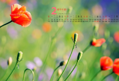 ​《非常女生》读后感400字
