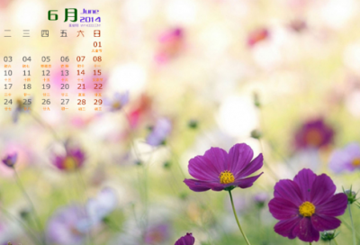 ​红楼梦读后感100字