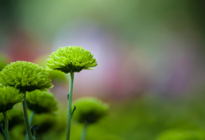 ​关于科技节作文20篇