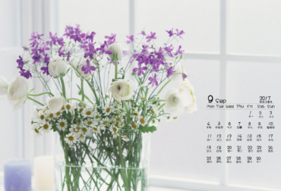 ​写景抒情作文5篇（初中优秀范文）