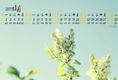 ​关于人间真情的作文5篇中考满分《真情在生活中流淌》