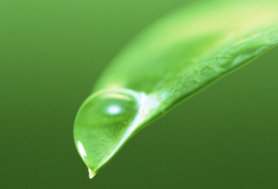 ​对我影响最大的一个人作文（中考高分范文4篇）
