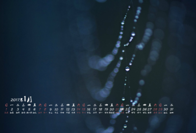 ​观察植物的作文5篇（观察植物感悟日记）