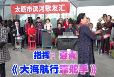 ​个人工作调动申请书