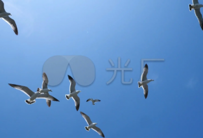 ​工作的日记