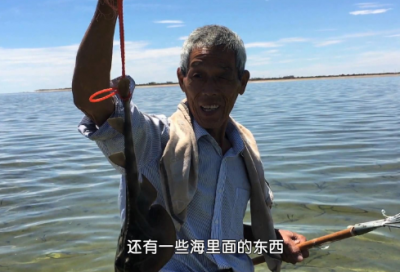 ​春暖花开作文15篇