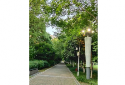 ​如何刷牙小学英语作文
