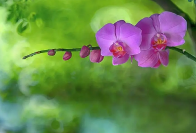 ​促销活动总结