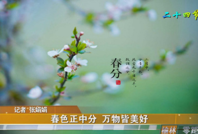 ​一年级语文教学总结