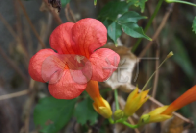 ​端午节主题活动总结