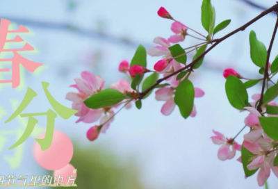 ​教师教学工作总结
