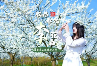 ​教师节活动总结