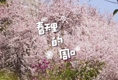 ​向国旗敬礼活动总结