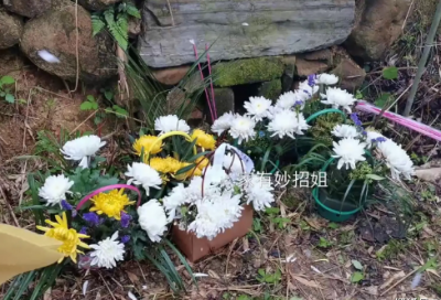 ​项目部的工作总结
