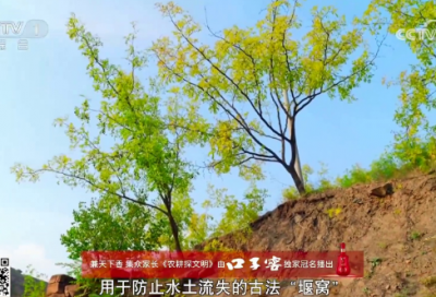 ​清明节活动总结