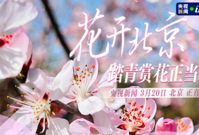 ​小学语文教学工作总结