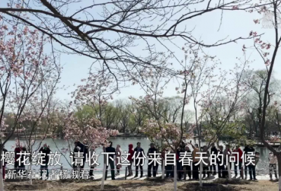 ​中专生个人总结