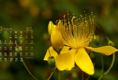 ​交通安全日活动总结