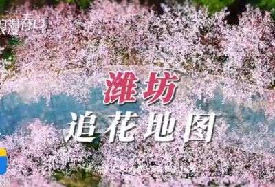 ​备课组工作总结